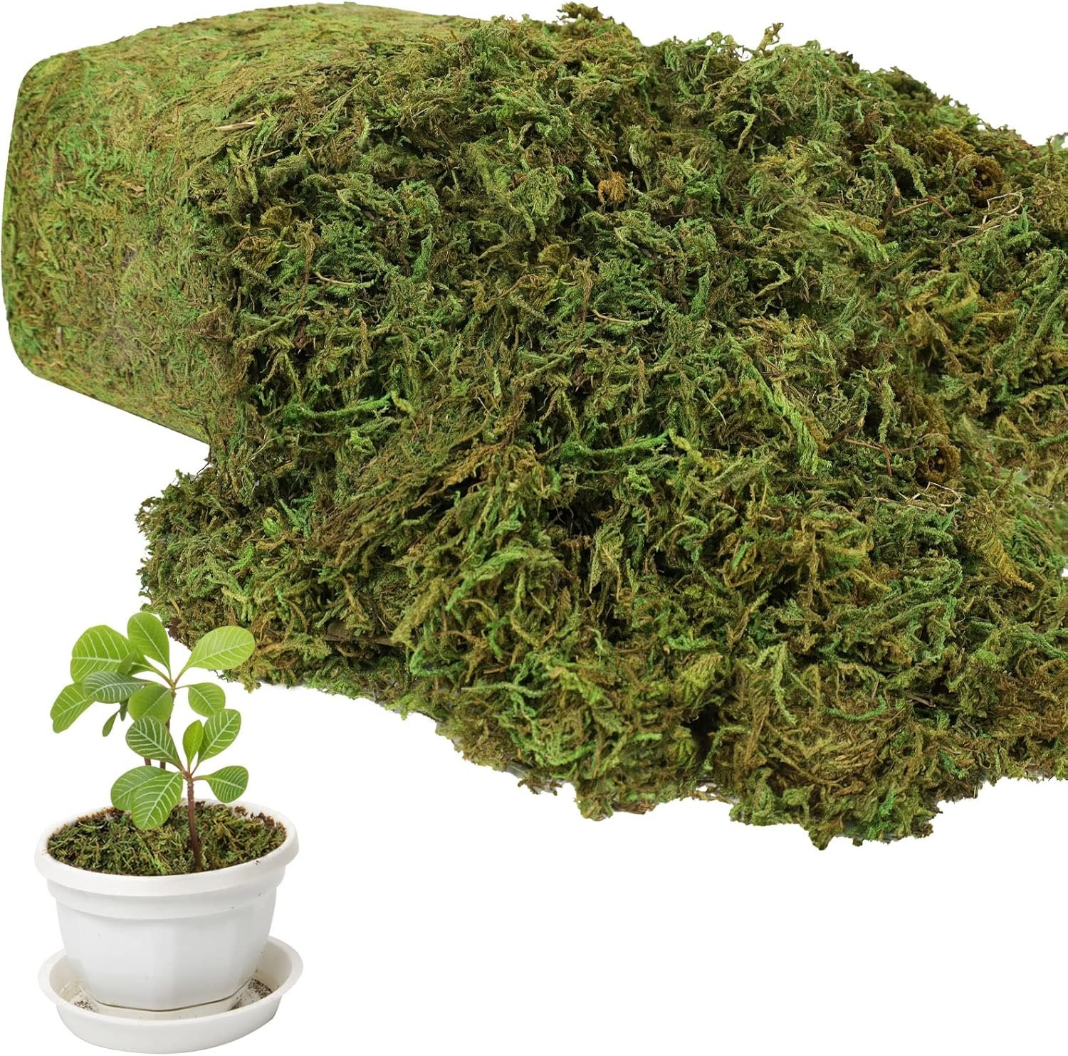 artificial moss for decorating artificial moss for decorating